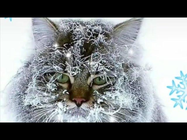 КАК МЫ ОТМЕЧАЛИ НОВЫЙ ГОД?!