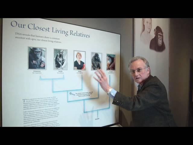 Richard Dawkins: Why are there still Chimpanzees? - Nebraska Vignettes #2