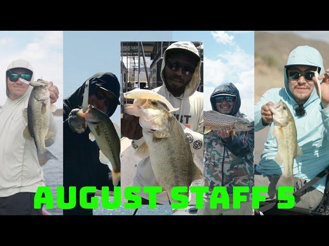 These Are Our 5 Go To Japanese Baits To Catch Fish When The Bite Gets Hard! August Staff 5
