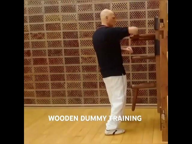 WOODEN DUMMY TRAINING: WING CHUN KUNG FU #kungfu #martialarts #wingchun #wooden #jeetkunedo #karate