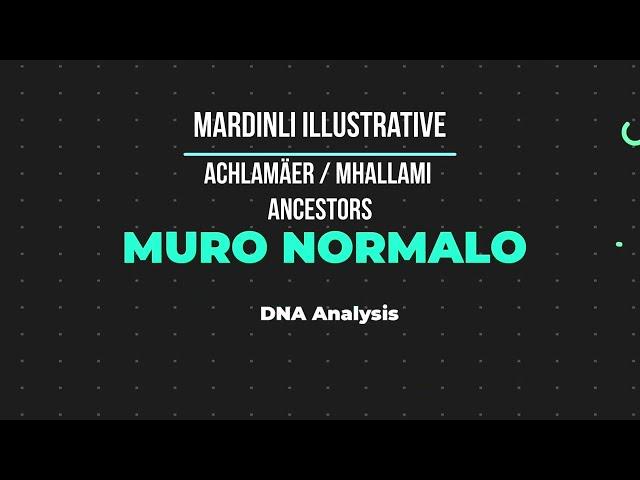 Mardinli Illustrative DNA Mhallami Achlamäer Ancestors Mardin