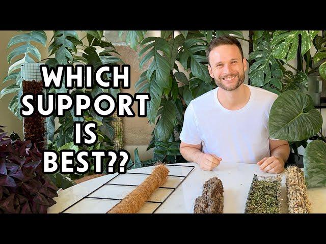 CHOOSE THE BEST PLANT SUPPORT - moss pole vs coco coir vs trellis vs wooden plank