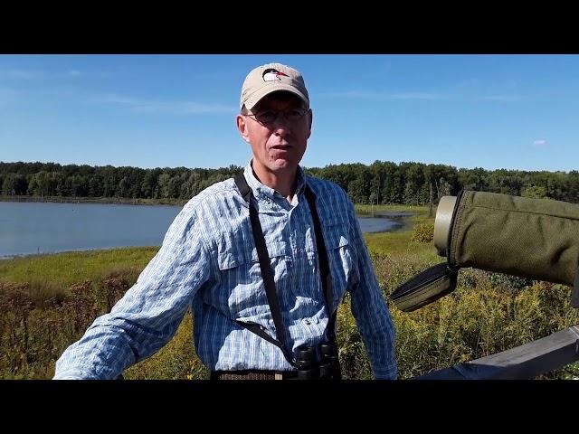 Waterfowl Hotspot Field Trip at Sandy Ridge Reservation