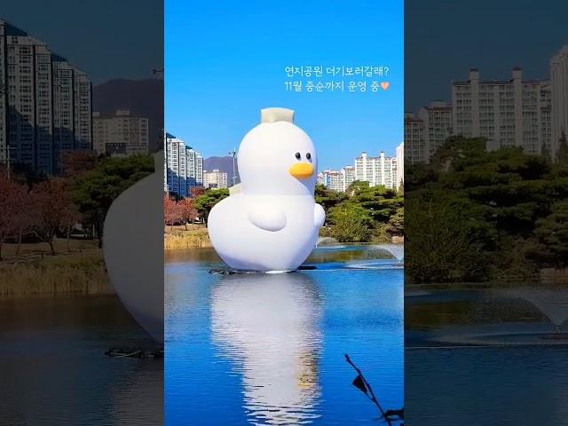 [ENG CC]Do you want to go see the deogi in Yeonji Park in Gimhae? #shorts