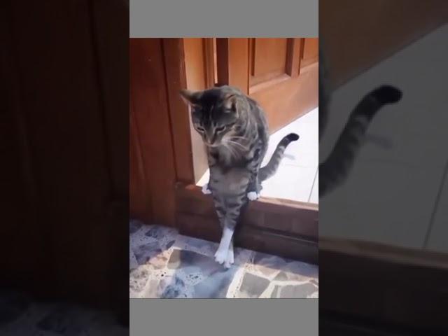 Устал