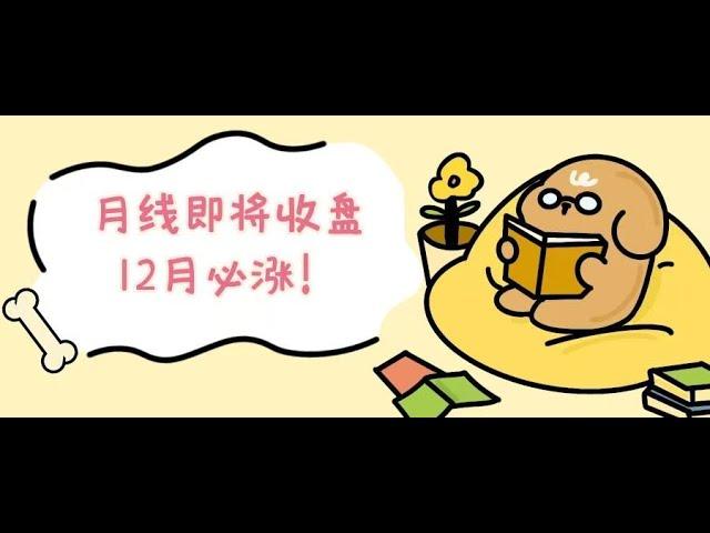 即将收月线，12月强烈看涨！----11月29号行情分析！