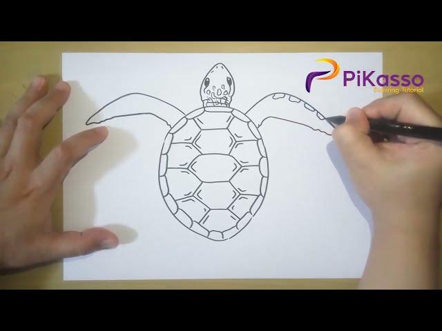 Realistic Sea Turtle Easy Drawing Tutorial