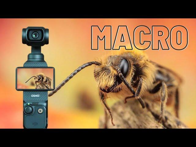 DJI pocket 3 macro lens from Freewell, is it any good?