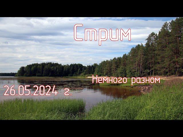 Немного о разном. Panasonic Lumix S9. Смотрим: выбор камеры и объектива. Стрим 26.05.2024