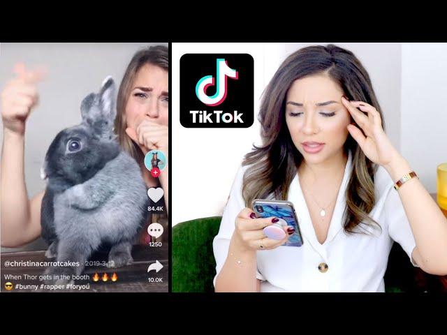 PET YOUTUBER REACTS: VIRAL RABBIT TIK TOK VIDEOS