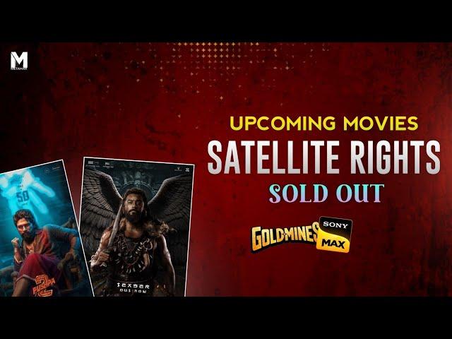 UPCOMING MOVIES HINDI SATELLITE RIGHTS SOLD OUT 2024 | NEW SOUTH UPCOMING MOVIES | METAMAX