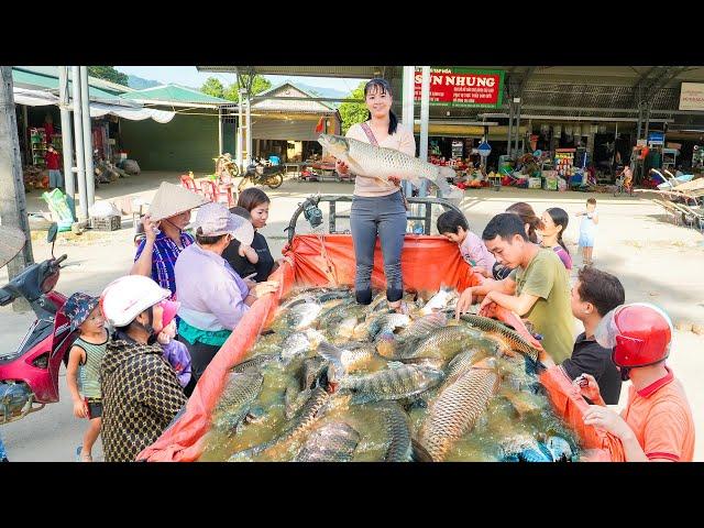 Use 3-wheeled Vehicle Harvesting Lots Of Big Fish Goes To Countryside Market Sell - Free Bushcraft