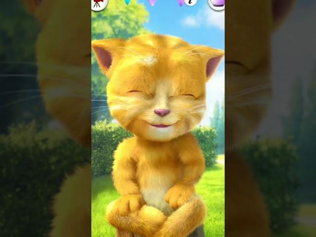 Talking Tom ️️️️ #shorts #tom #talkingtom #viralvideo#youtubeshorts