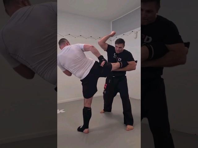 KRAV MAGA is Simple and Highly Effective  #kravmaga #fight #selfdefense