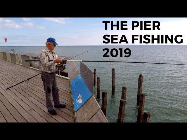 Sea Fishing -The Pier Sept 2019