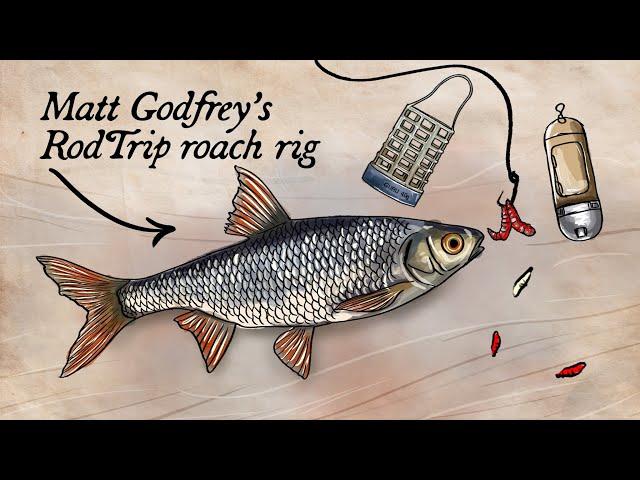 Roach Fishing Feeder Setup Explained | RodTrip Rigs 