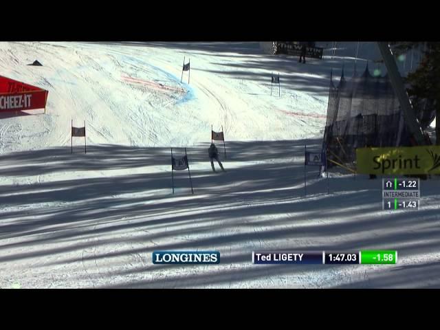 Ted Ligety - Wins - Audi Birds of Prey