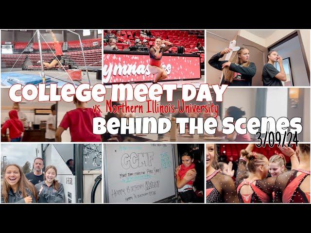 Ball State gymnastics VS NIU!!! Behind the scenes from the gymcards! || D1 college meet, travel vlog