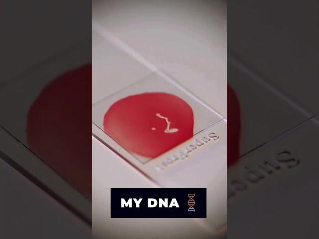 Traders DNA , My DNA #dna #trader