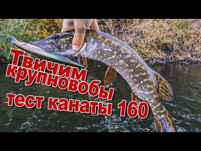 Первый тест Megabass Kanata 160F на воде | Твичим крупновобы | Ловля щуки на воблеры