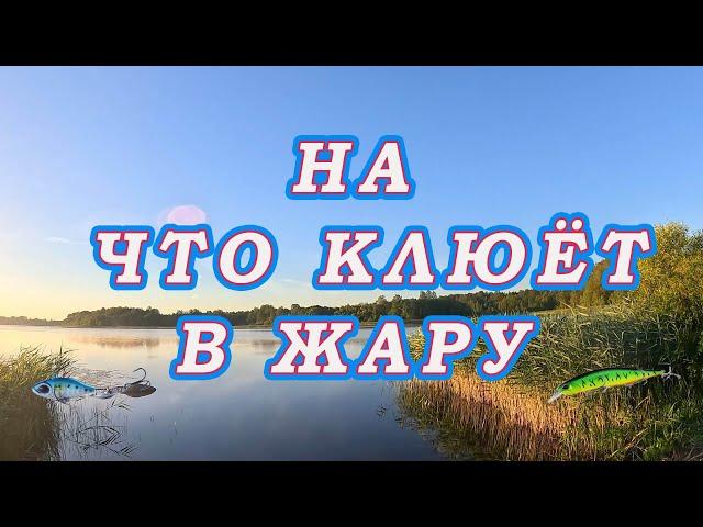 НА ЧТО КЛЮЁТ В ЖАРУ! Прямой эфир Уловистых проводок и приманок! Жаркий День и Достойная Рыба!