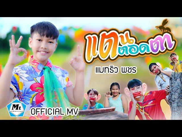 แตนตอดตา - แมทธิว พชร ( OFFICIAL MUSIC VIDEO )