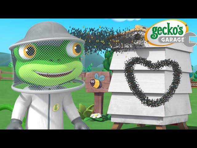 Beekeeper Gecko  | Gecko's Garage | Trucks For Children | Cartoons For Kids