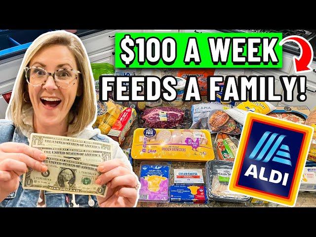 REALISTIC BUDGET MEAL PLAN $100 for a WEEK of FAMILY MEALS // $3 a Day per Person!