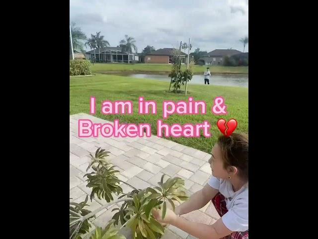 Broken heart  #vietgiaitri #entertainment #funny #funnyvideos