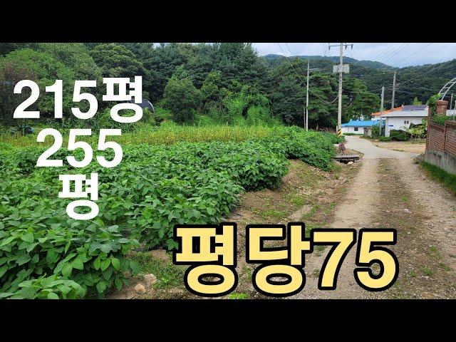 충남공주시 내흥리 답 대지  계획관리   평당75  215평  255평  공사할꺼  없어요