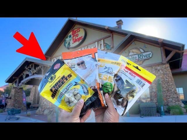 Bass Pro Catfish Bait Challenge! (It Actually Works?!)