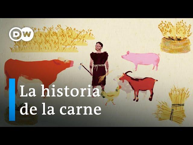 ¿Necesitamos consumir carne? | DW Documental