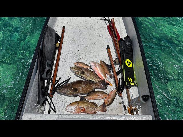 Shallow Water Spearfishing | 10-20 Ft | Grouper Head Soup