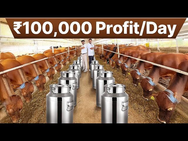 15 करोड़ का फार्म3 CRORE PROFIT200 Cows का Dairy Farm | Indian Farmer