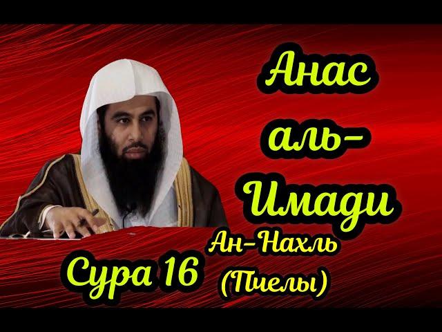 16 сура Ан-Нахль (Пчелы) Анас Аль Имади