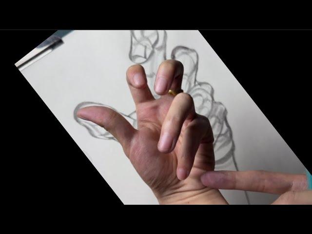 How to draw hands step by step