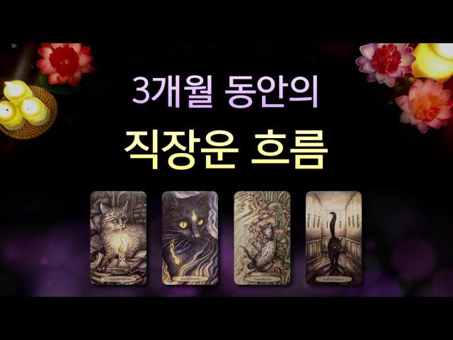 [타로] 3개월 동안의 #직장운