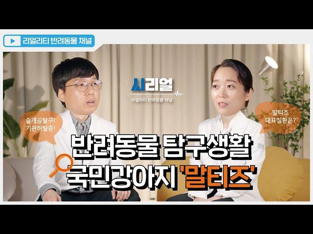 [SNC] 말티즈 보호자라면 반드시 알아야 할 질환 TOP5