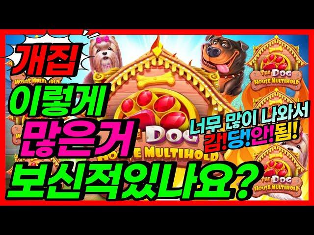 #슬롯 #라이브 더 도그하우스 멀티홀드 개집 이빠이 먹어보고 싶다면 바로 이 게임!!! [프라그마틱][온라인슬롯][슬롯머신][슬롯생방송][강원랜드][사나이슬롯][잭팟]