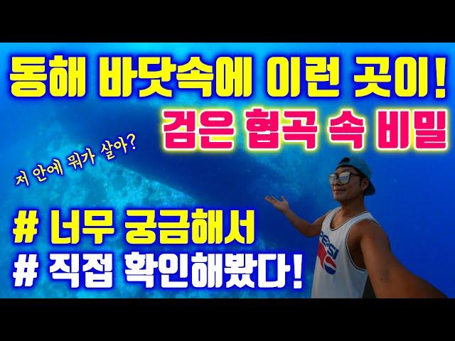 [4k] 동해 바다속에 이런곳이? 왠지 빨려 들어갈듯한 검은 협곡 속 정체는? 고성으로 떠난 스쿠버다이빙 여행