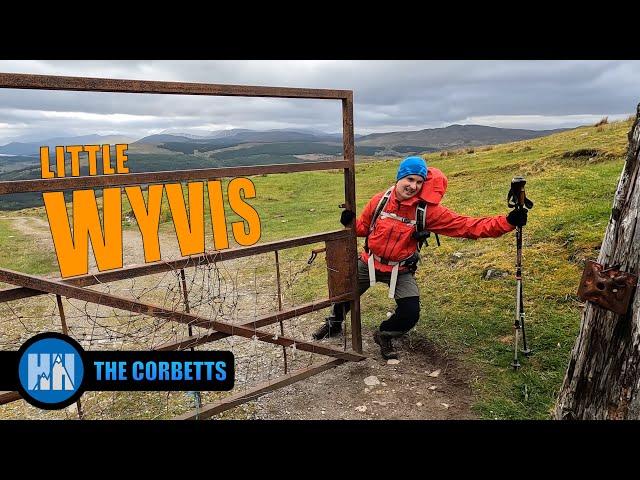 Little Wyvis | In the Shadow of Ben Wyvis | The Corbetts