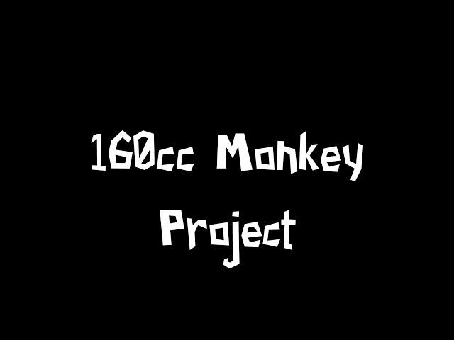 160CC YX MONKEY PROJECT/REVEAL