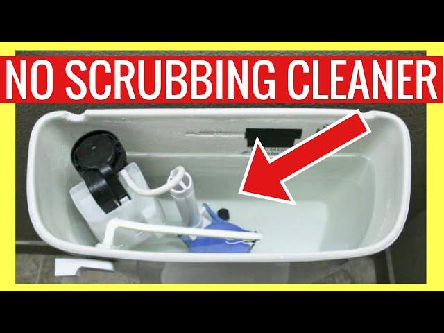 Clean your TOILET TANK WITHOUT SCRUBBING!! (GENIUS) 2 Tests | Andrea Jean