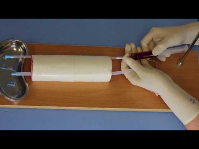 How to Setup the Venipuncture Trainer