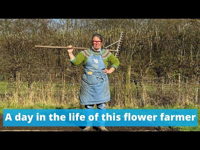 Early spring day in the life of this flower farmer: or who needs the gym when you can barrow mulch