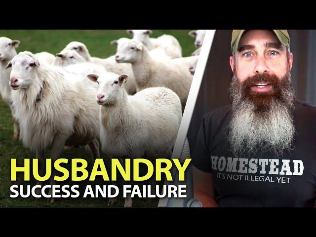 My THOUGHTS On Animal Husbandry - SHEEP