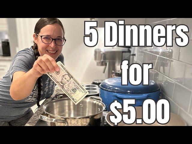 20 Meals for $25 | EASY and Delicious Recipes | Cheap Meal Ideas