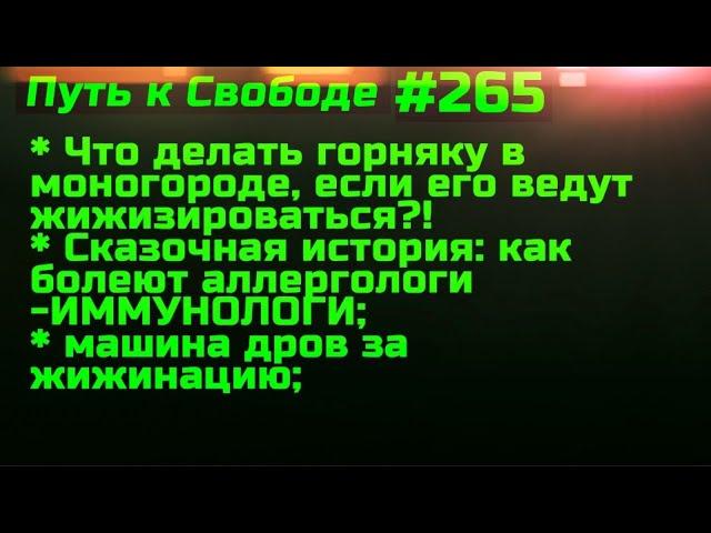 #265 ️️️ Сказочный рассказ выживания иммунолога после жижинации. Дрова за жижинацию.