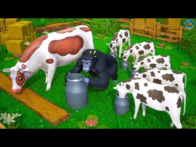 Gorilla's Dairy Dilemma: Cow Calf's Hilarious Milk Stealing Antics! Funny Cows Comedy Cartoons