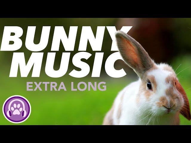 EXTRA LONG Music for Rabbits - 20 HOUR Lullaby for Bunny Relaxation